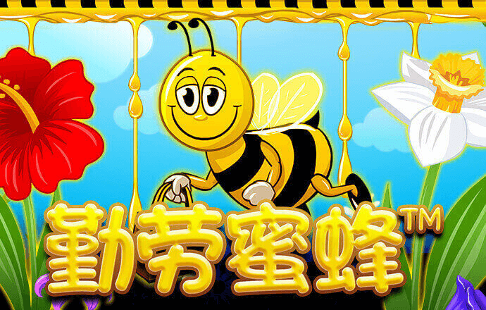 亚盈官网app下载入口